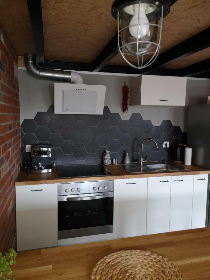 Loftstyle Apartament Zyrardow Exterior photo
